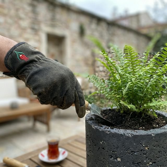 Beton Saksı Bakımı Nasıl Yapılır? 5 Kritik İpucu